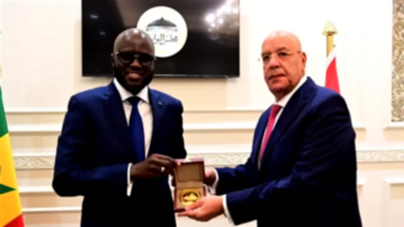 لقاء هشام بدوي مع رئيس البرلمان السنغالي وسفراء أفريقيا