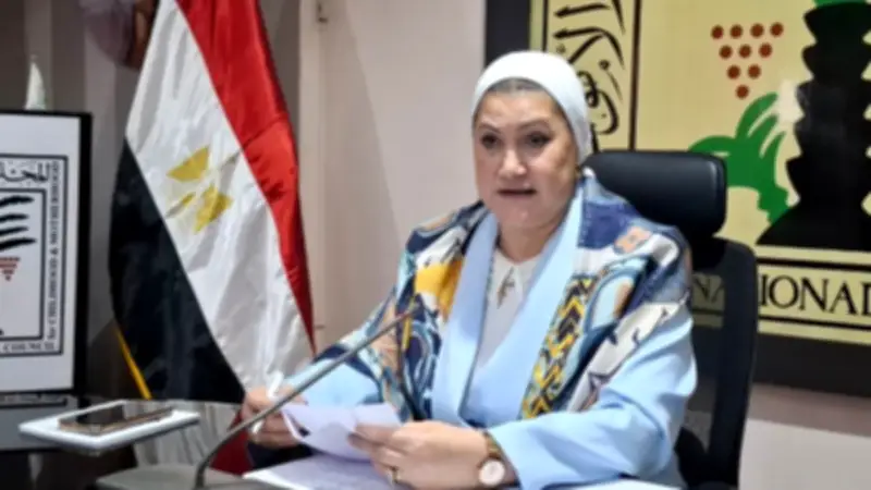 القومي للطفولة والأمومة يستعرض جهوده لتعزيز حماية الأطفال ودعم الأسر