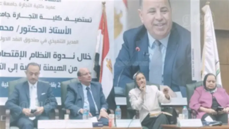 يمن الحماقي: قروض صندوق النقد ليست حلاً لأزمات مصر الاقتصادية