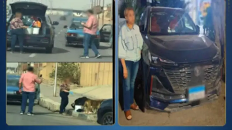 الداخلية تكشف تفاصيل فيديو إطعام كلاب ضالة وتضبط السيدة المتسببة