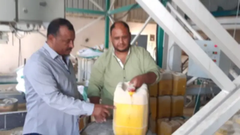 ضبط نصف طن زيت طعام منتهي الصلاحية في حملة تموينية بالأقصر