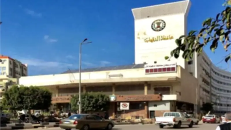 السيطرة على تسريب غاز بعد اصطدام سيارة بمنظم ضغط في المنصورة