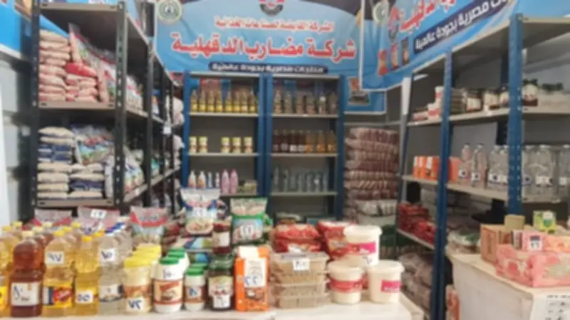محافظ الدقهلية يؤكد متابعة يومية للأسعار والتخفيضات بمعرض السلع