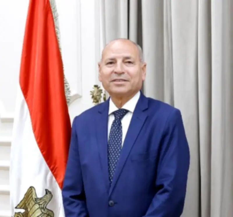 محافظ القاهرة: إقامة شُلت الكلاب الضالة في أسرع وقت