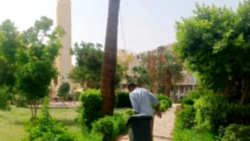 استعدادات مكثفة في أسوان لاستقبال عيد الأضحى المبارك