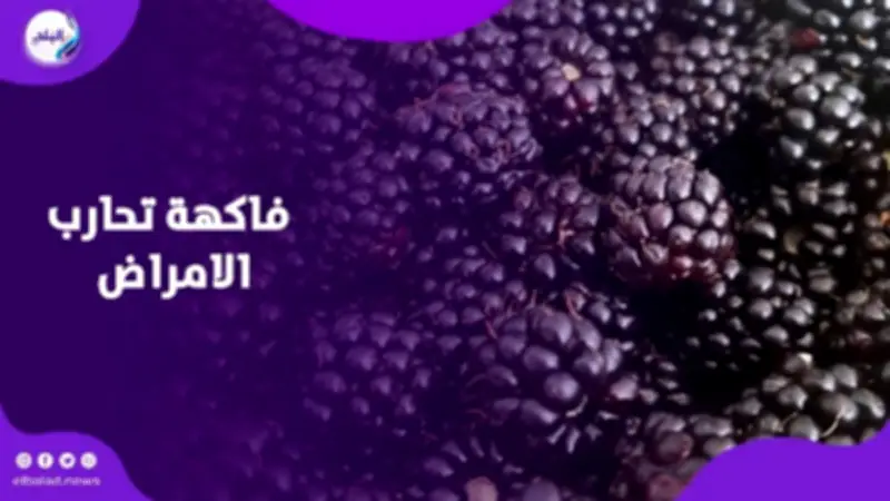 التوت الأسود فاكهة خارقة تمنع تحول الأورام لسرطان وتحارب الأمراض