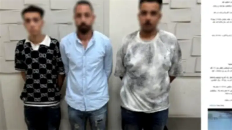 كشف ملابسات سرقة راكبة على يد سائق نقل ذكي بالجيزة واعتراف المتهم