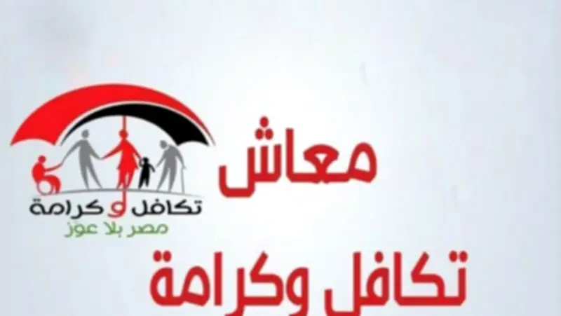 محكمة النقض: لا يجوز الجمع بين معاشين في هذه الحالة والقانون يحسم النزاع