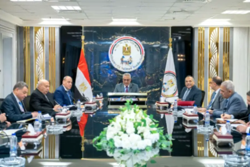 جمبلاط: تعظيم الاستفادة من الإمكانيات التصنيعية والتكنولوجية بشركات الإنتاج الحربي