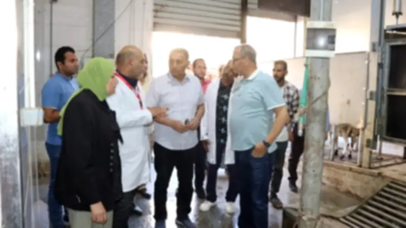 محافظ القليوبية يتفقد مجزر شبرا الخيمة استعداداً لعيد الأضحى