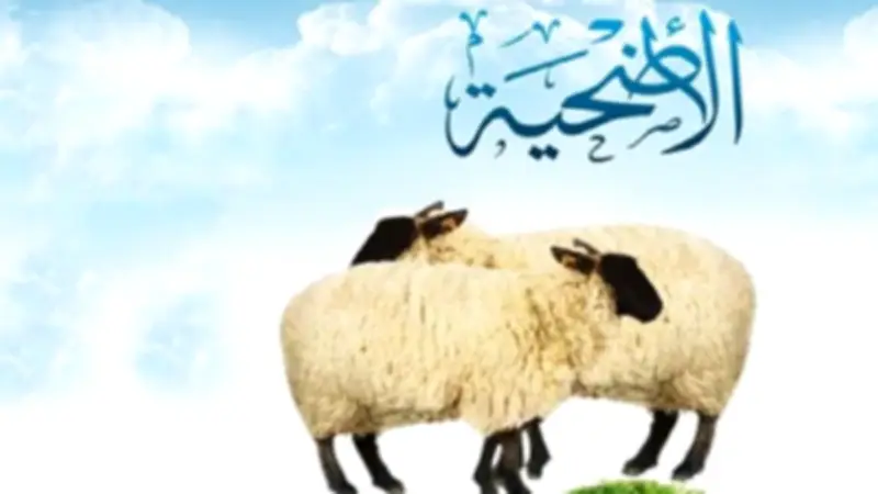 الإفتاء توضح متى يبدأ وقت الأضحية في عيد الأضحى