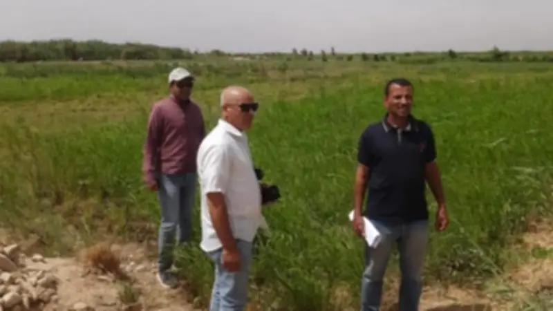 سوهاج تنفي شائعة ري الخضروات بمياه الصرف في أخميم وتؤكد كذب الادعاءات