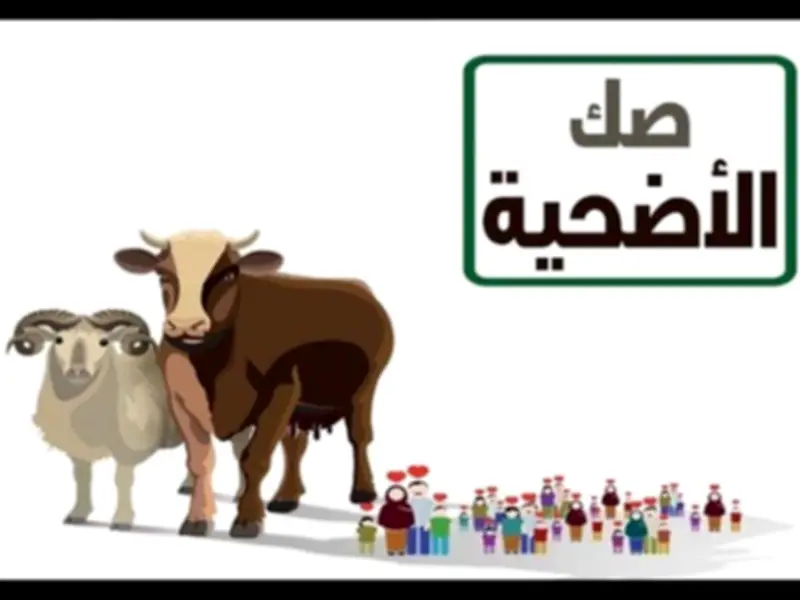 الإفتاء: يجوز للمضحى أن ينيب الجمعيات الخيرية لشراء صك الأضحية