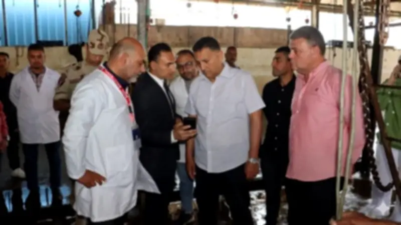 محافظ القليوبية يتفقد مجزر شبرا شهاب استعداداً لعيد الأضحى