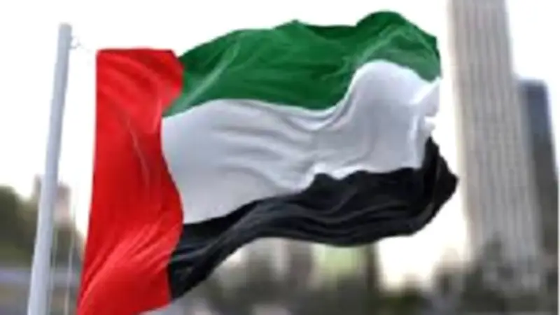 الإمارات والتشيك تبحثان تعزيز التعاون وتداعيات الاعتداءات الإيرانية