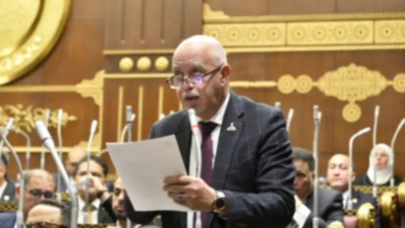 برلماني: كلمة السيسي في يوم أفريقيا ترسم مرحلة بناء وتنمية مستدامة