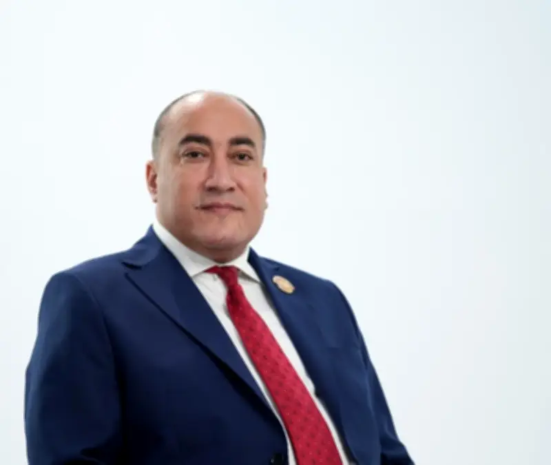 عمرو رشاد: الرئيس السيسي وضع خارطة طريق واضحة لتعزيز مكانة أفريقيا عالمياً