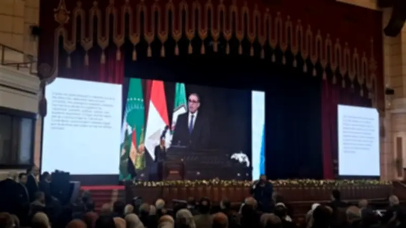 وزير الخارجية: العلاقات المصرية الأفريقية تاريخ من النضال والمصير المشترك