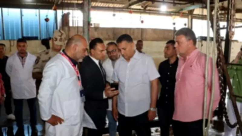 محافظ القليوبية يتفقد مجزر شبرا شهاب استعداداً لعيد الأضحى