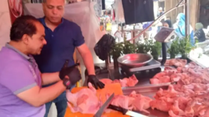 الغربية تضبط نصف طن لحوم ودواجن وأسماك فاسدة قبل عيد الأضحى