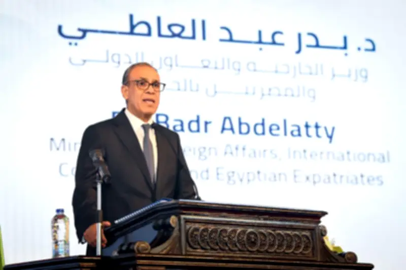 بدر عبد العاطي: مصر شريك فاعل في دعم التنمية بالقارة الإفريقية