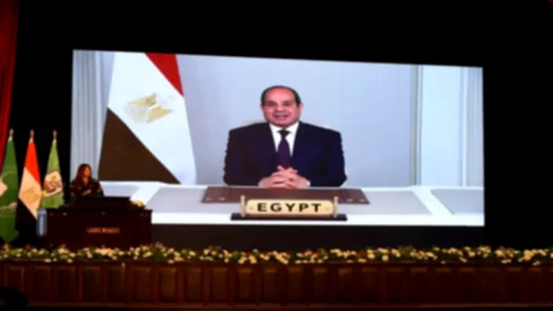 وزارتا الخارجية والتعليم العالي تحتفيان بـ«يوم إفريقيا» في جامعة القاهرة