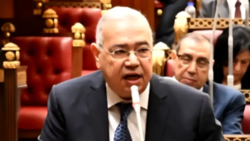 المصريين الأحرار يعزي الصين في ضحايا الفيضانات ويؤكد التضامن الإنساني