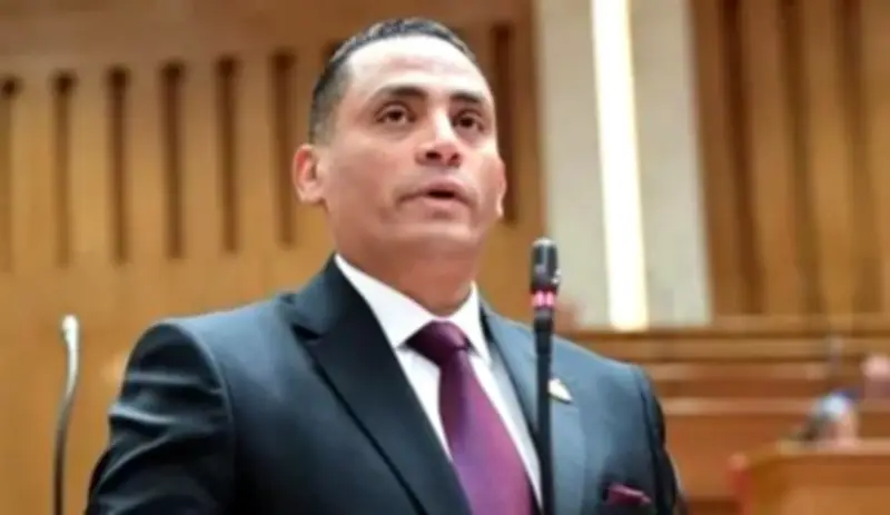 نائب برلماني: مصر عززت دورها الريادي في أفريقيا بعهد السيسي
