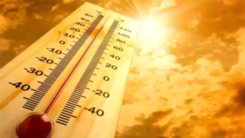 "هدنة مناخية" تعويضية للمزارعين لتعويض خسائر المحاصيل