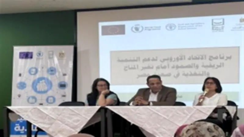 وزيرة التنمية المحلية: تشكيل فرق متخصصة لدعم التنمية الاقتصادية بقرى حياة كريمة