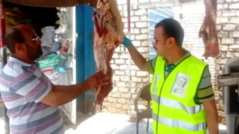 حملات بيطرية مكثفة بأسوان على الجزارة والأسواق استعداداً لعيد الأضحى