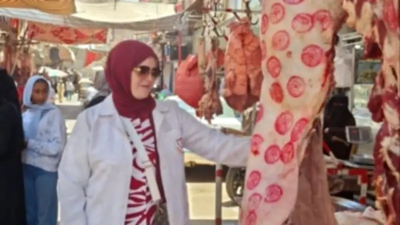 تكثيف الحملات الرقابية على اللحوم استعداداً لعيد الأضحى بالشرقية
