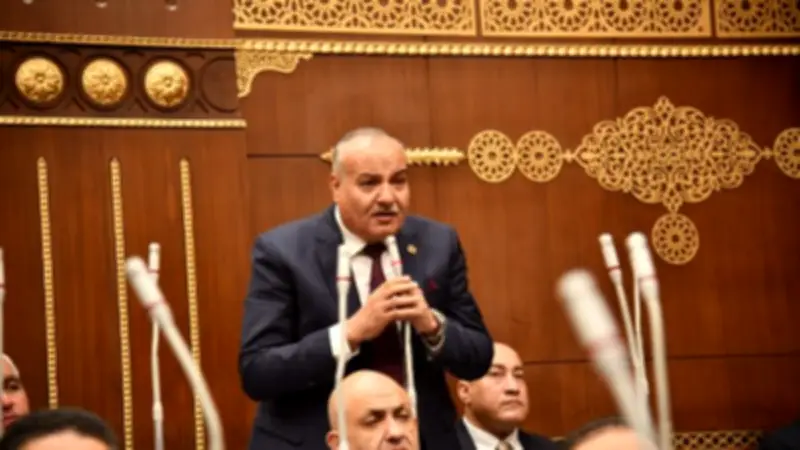 نائب بحماة الوطن: رسائل السيسي تؤكد ثوابت السياسة المصرية لدعم الاستقرار الإقليمي