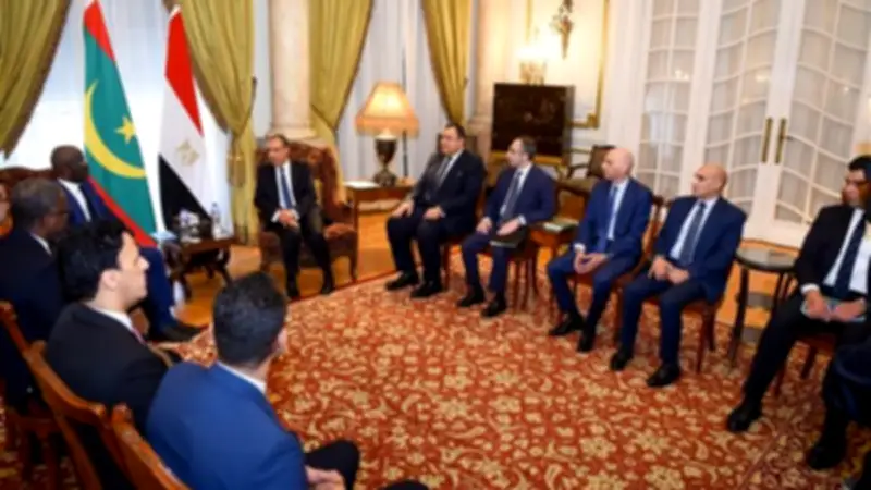 وزير الخارجية ونظيره الموريتاني يبحثان تطوير التعاون والقضايا الإقليمية