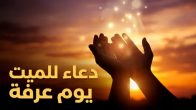 دعاء يوم عرفة للميت.. اغتنم أفضل الأدعية للمتوفى في اليوم المبارك