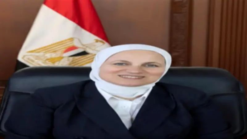 تعليم القاهرة: تجميع نتيجة الابتدائية والإعدادية تمهيداً للإعلان