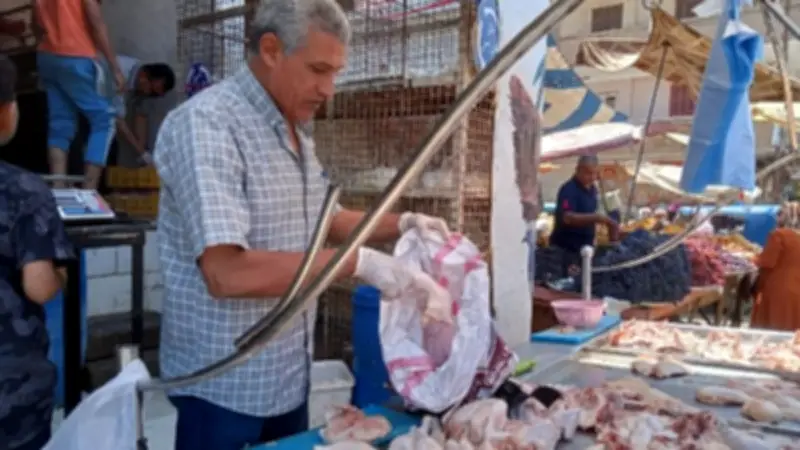 ضبط نصف طن دواجن غير صالحة للاستهلاك في حملة بالمنوفية