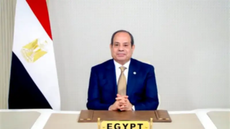 نشر الجريدة الرسمية لقانوني التنقيب عن البترول بالصحراء الغربية وخليج السويس
