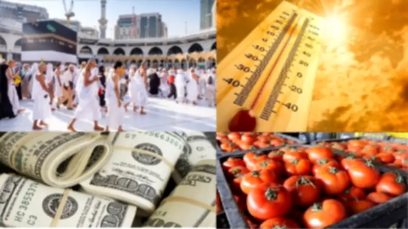 انخفاض أسعار الطماطم والدواجن والبيض قبل عيد الأضحى والصحة تحذر من مخاطر اللحوم