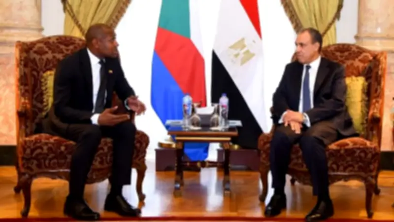 عبد العاطي: الشركات المصرية ملتزمة بنقل التكنولوجيا لجزر القمر