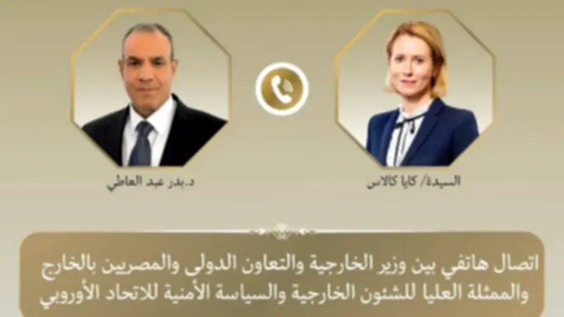 وزير الخارجية يطلع مسؤولة أوروبية على جهود مصر لخفض التصعيد بالمنطقة