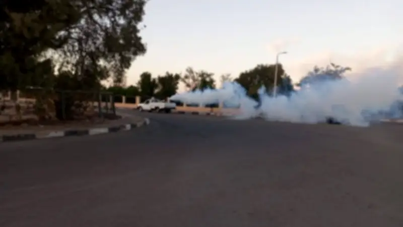 حملة لمكافحة الناموس والحشرات الناقلة للأمراض في نويبع
