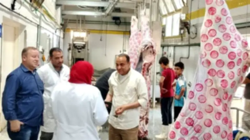 رئيس مركز دكرنس يتفقد المجزر الآلي استعدادًا لعيد الأضحى ويحظر الذبح خارج المجازر