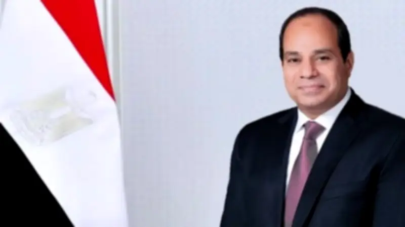 نائب: اتصال السيسي بقادة العالم يؤكد دور مصر المحوري في السلام