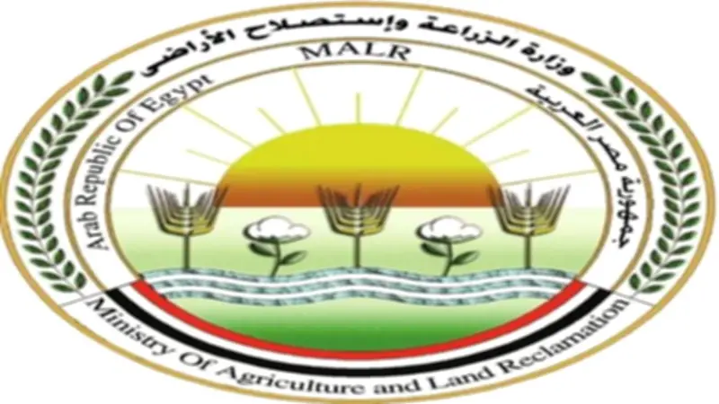 الزراعة: طفرة في صادرات الخيول المصرية للأسواق العربية والأوروبية