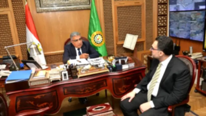 محافظ الدقهلية يوجه بتوفير الدعم اللازم لشركة وسط الدلتا للكهرباء