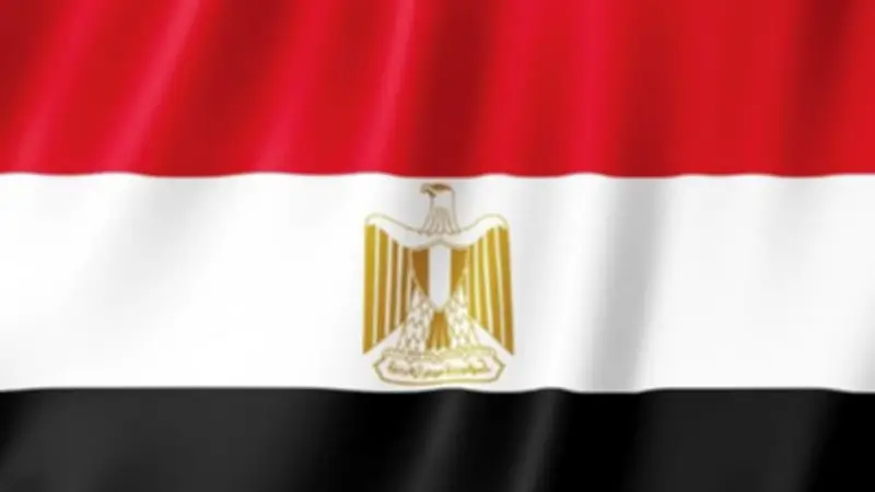 مصر تعرب عن أسفها لعدم التوافق على وثيقة مؤتمر مراجعة معاهدة عدم الانتشار النووي