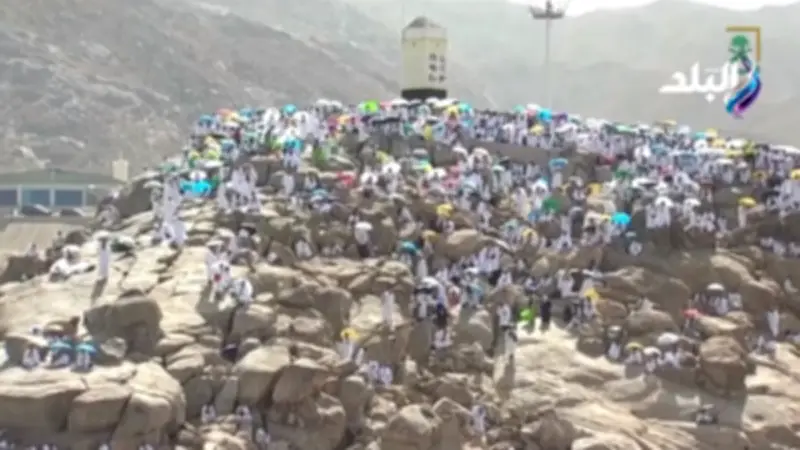 توافد حجاج بيت الله الحرام إلى جبل عرفات لأداء ركن الحج الأعظم
