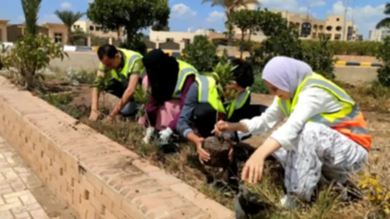 بمشاركة شبابية واسعة.. تواصل فعاليات جميلة يا بلدي لتجميل شوارع كفر الشيخ