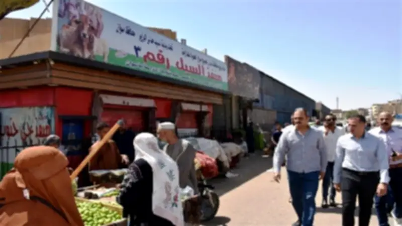 محافظ أسوان يقرر تغييرات محلية محدودة لتحسين الخدمات ومكافحة الإشغالات